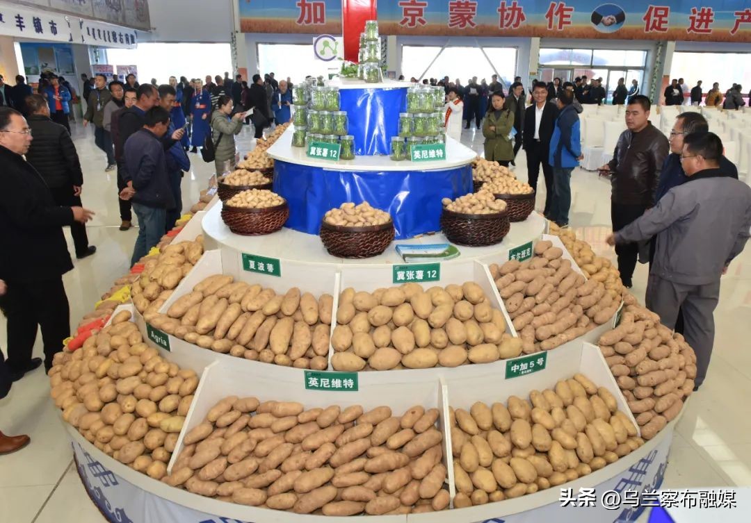 乌兰察布马铃薯发展现状,乌兰察布市马铃薯发展规划