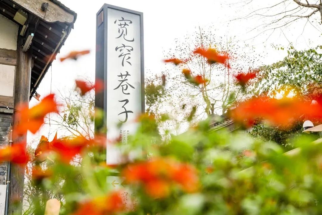 成都一晚最值得打卡的地方是哪里,去成都必要打卡的几个地方