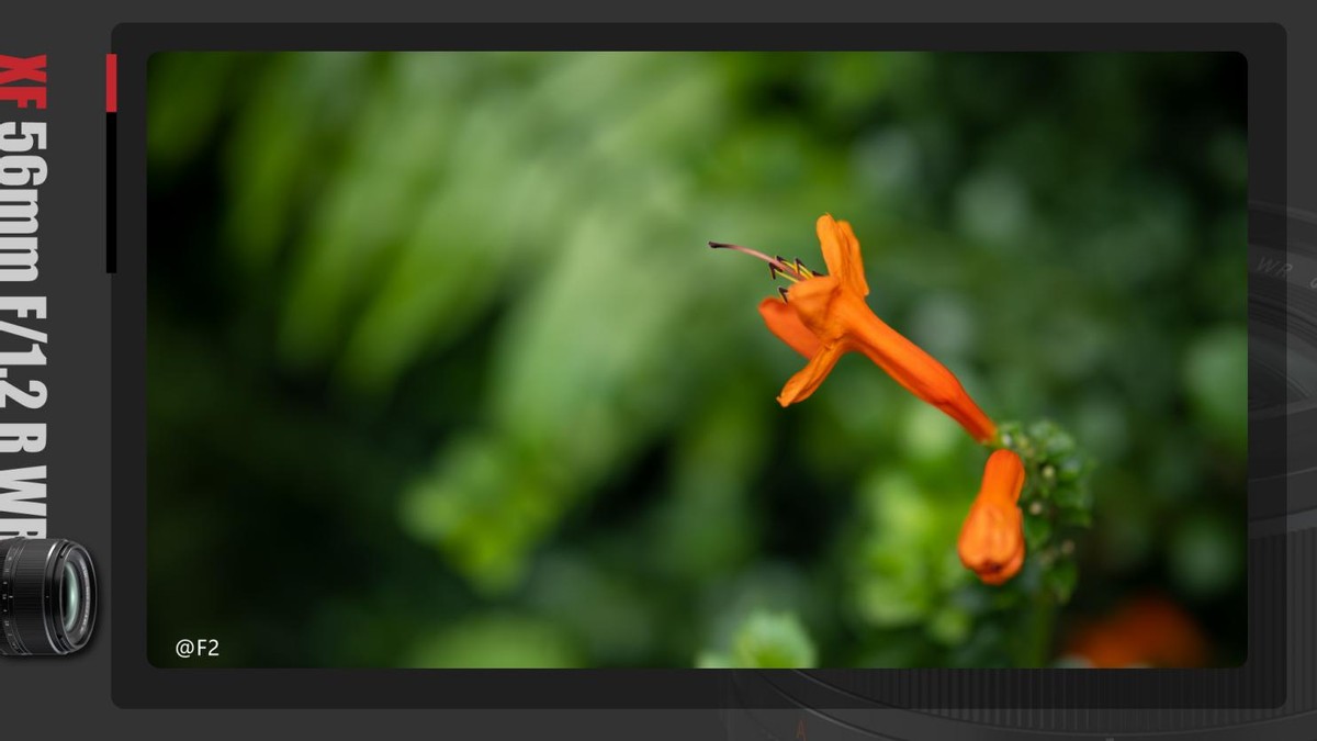 富士xf23f1.2定焦镜头使用体会,富士xf56mm1.2一代和二代有多大区别