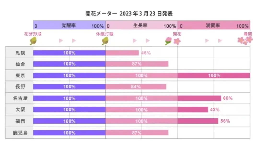 今年日本樱花还能看吗,日本4月底还有樱花看吗