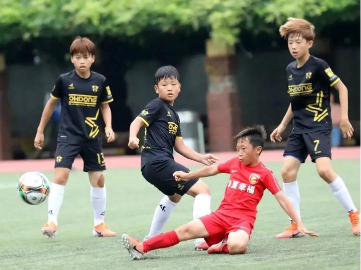 名嘴揭露中国足球青训潜规则,中国足球青训教练问题解析