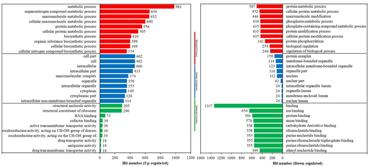 毛滴虫性妇科炎症甲硝唑,治毛滴虫用甲硝唑好还是替硝唑好