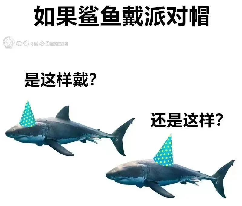 很搞笑的图片和故事,每天都要洗衣服的搞笑图片