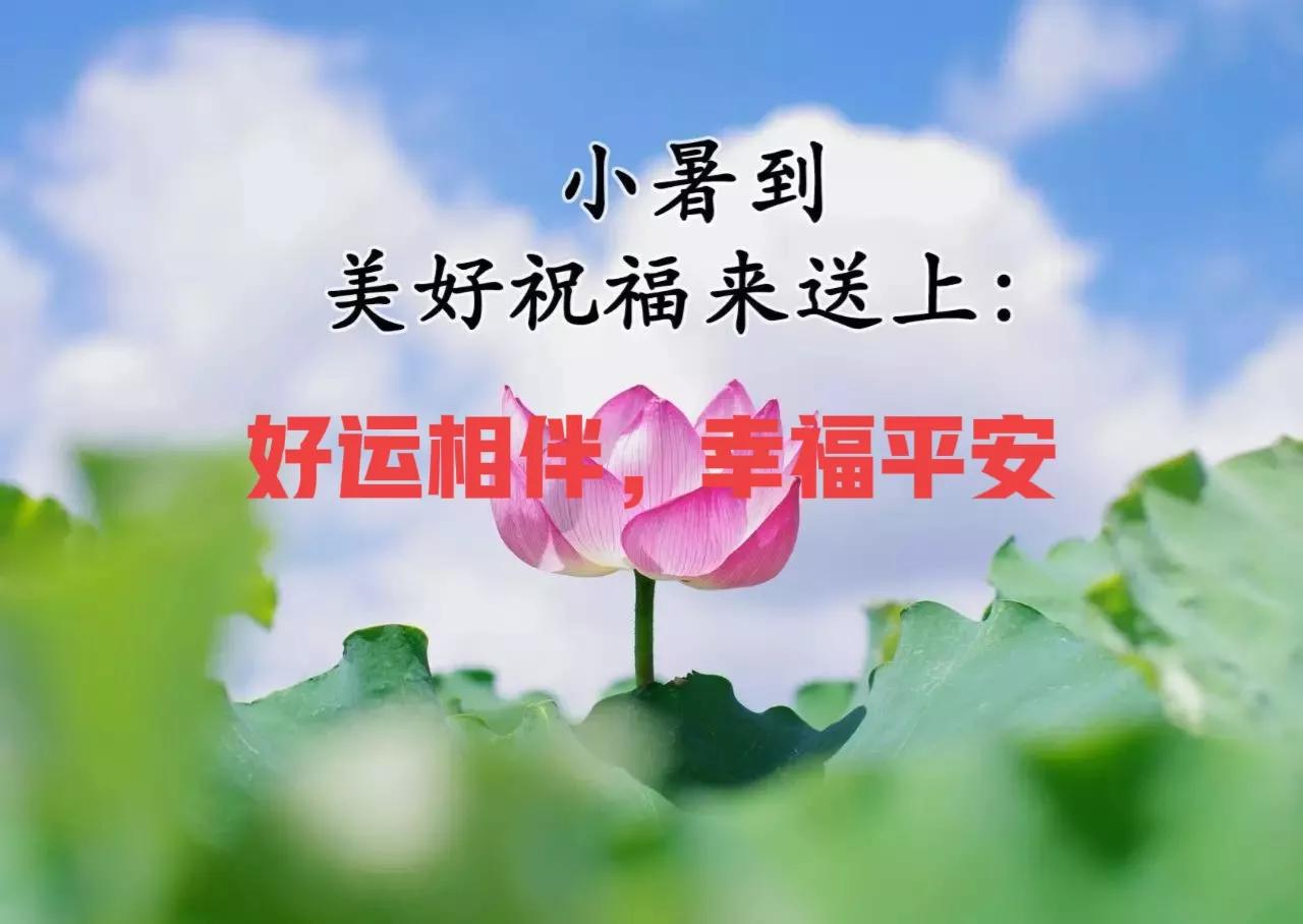 小暑节气祝福语简短,小暑节气祝福语图片简短