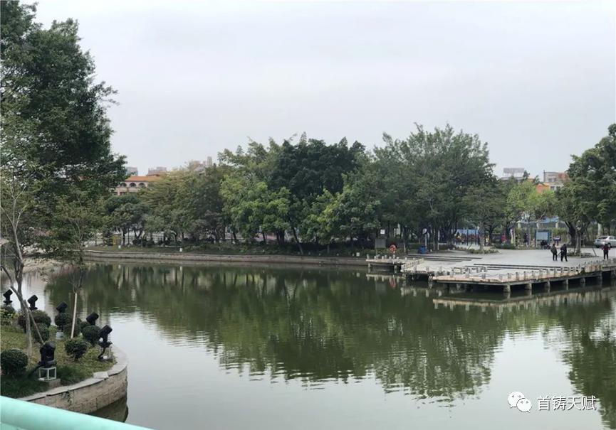 以天赋再造天赋,刷新东莞TOD样本