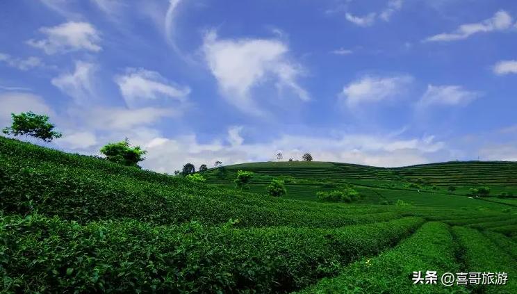 广西南宁上林景点旅游推荐,广西南宁上林游玩