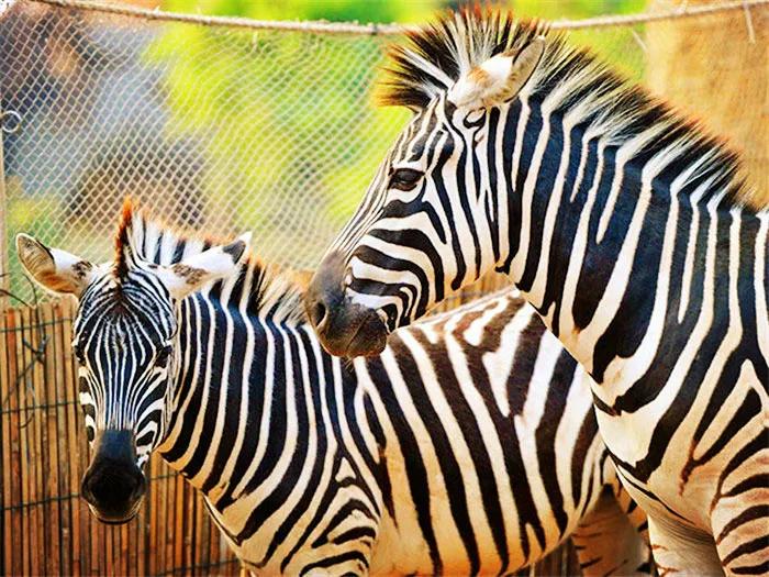 12月广东省内自驾游十大最优景点,广东12月份适合旅游的景点有哪些