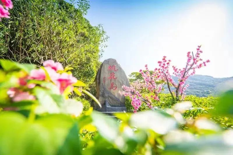 浙江多地景区官宣免票或优惠,浙江多地景区宣布免费