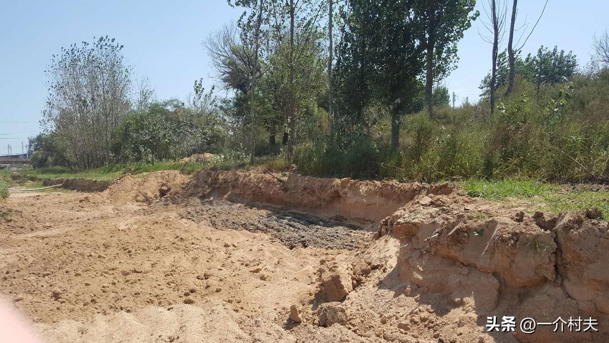 农村春节做什么小生意最赚钱,春节做点什么小生意赚钱了