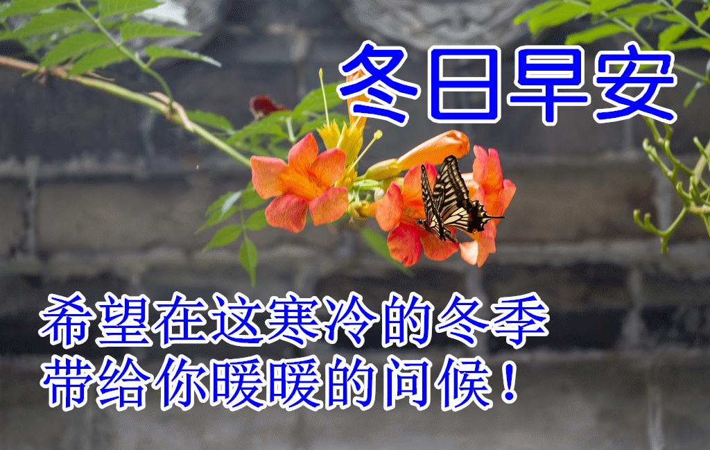 早晨好表情图片大全大图,下雨天的早晨好动态表情图片