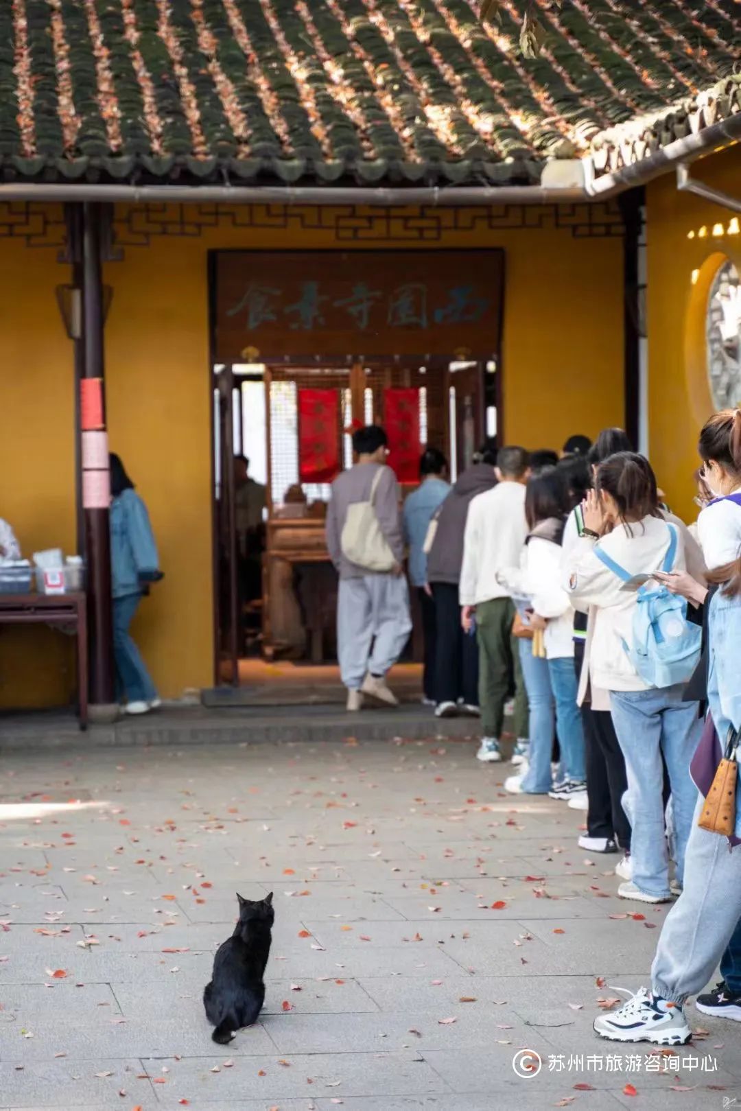 特种兵式旅游攻略苏州,苏州特种兵一日游攻略