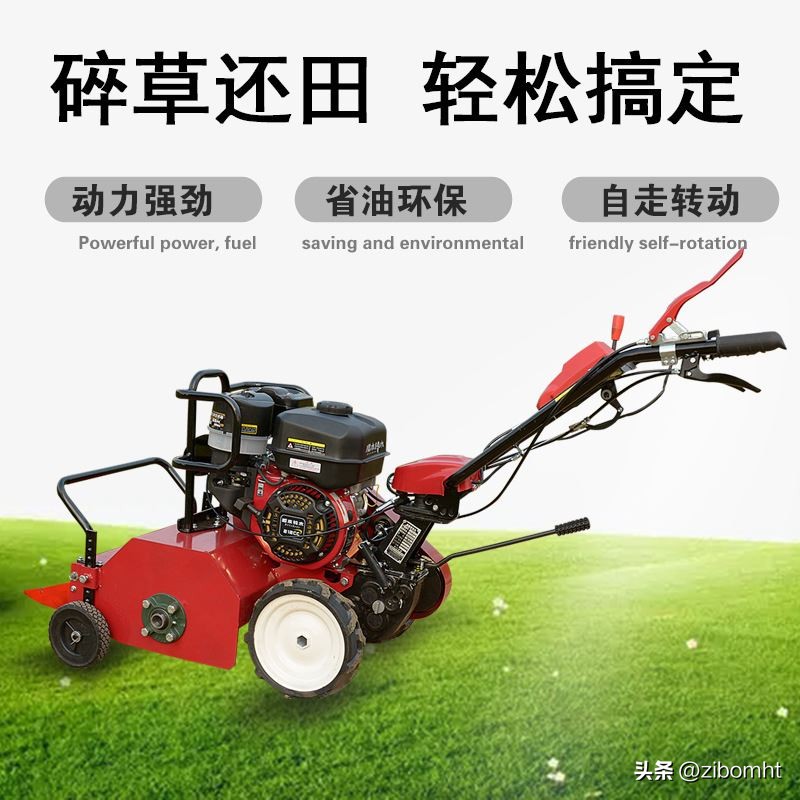 现在投资种植猕猴桃前景好吗,博山猕猴桃种植技术