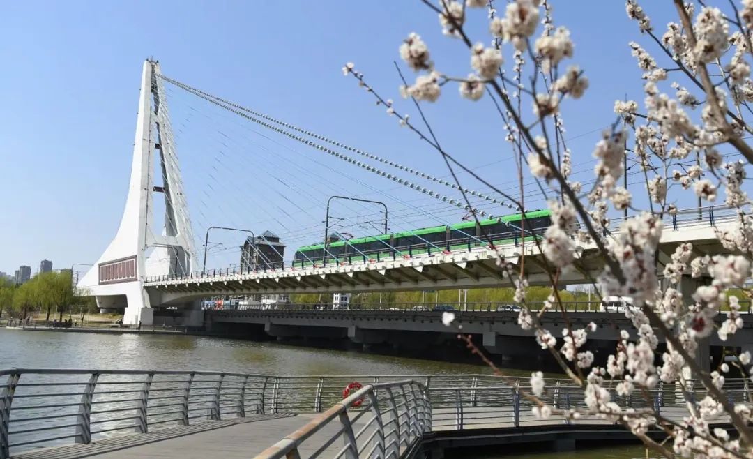 citywalk用脚步丈量城市,开启随性自由的citywalk