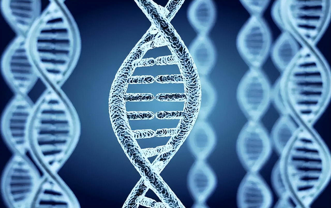 前额和后脑勺有白发,前额后脑勺长白发什么原因