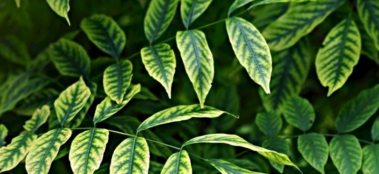 SpringDay让春天“放肆”绽放|深圳的春天我们这样“玩”婚礼