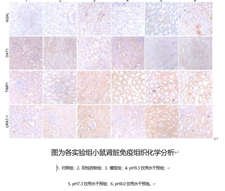 最好的含硒碱性矿泉水,矿泉水碱性水高端