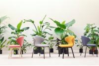 好看高级有设计感的餐椅,最简单的餐厅餐椅