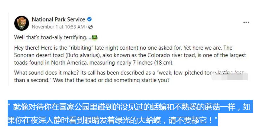 癞蛤蟆的毒有多可怕,癞蛤蟆毒素上瘾