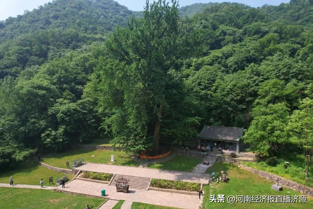 好消息景区,王屋山景区免门票