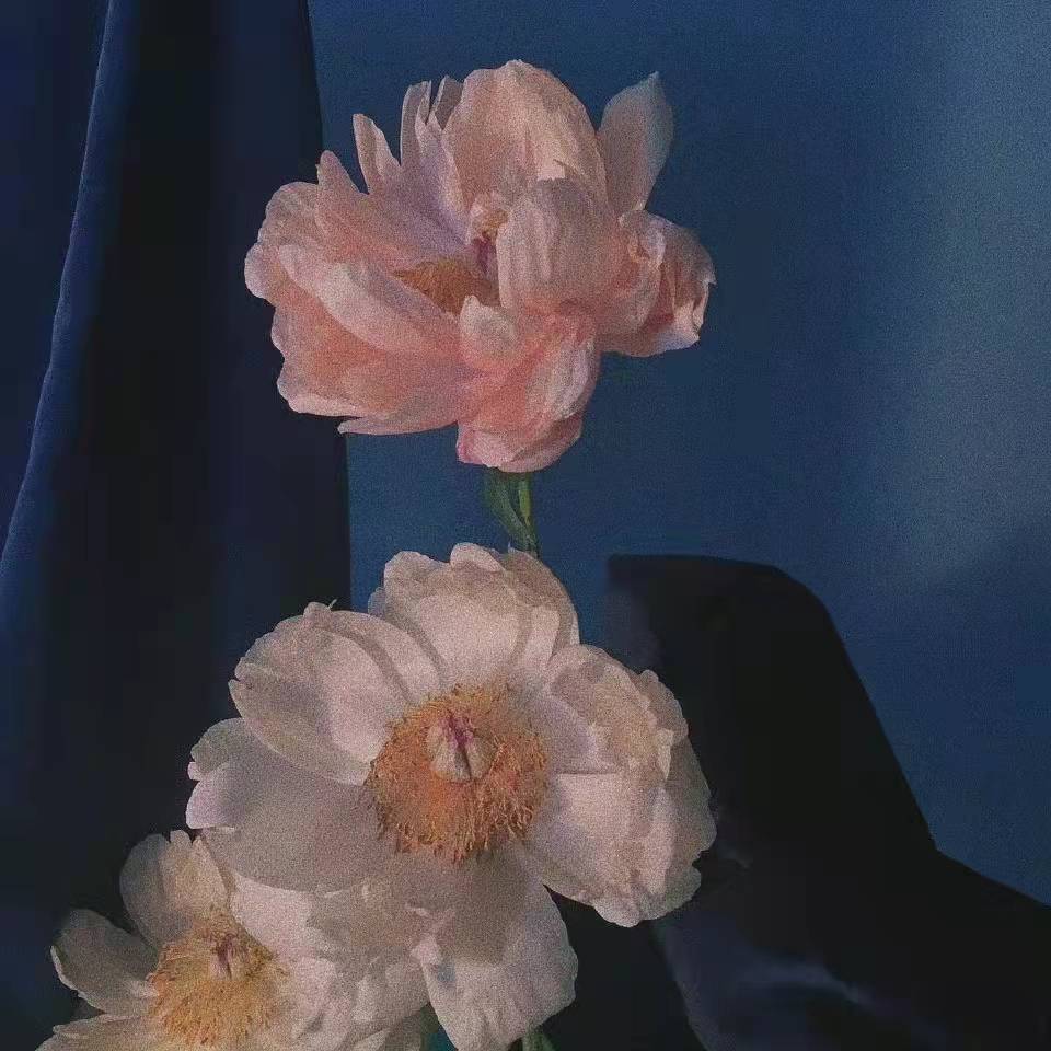 可以收藏很久的热搜句子,最近很火的热搜句子