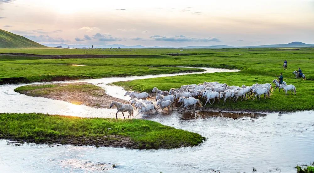 攻略｜锡林郭勒“醉”美草原沉浸之旅