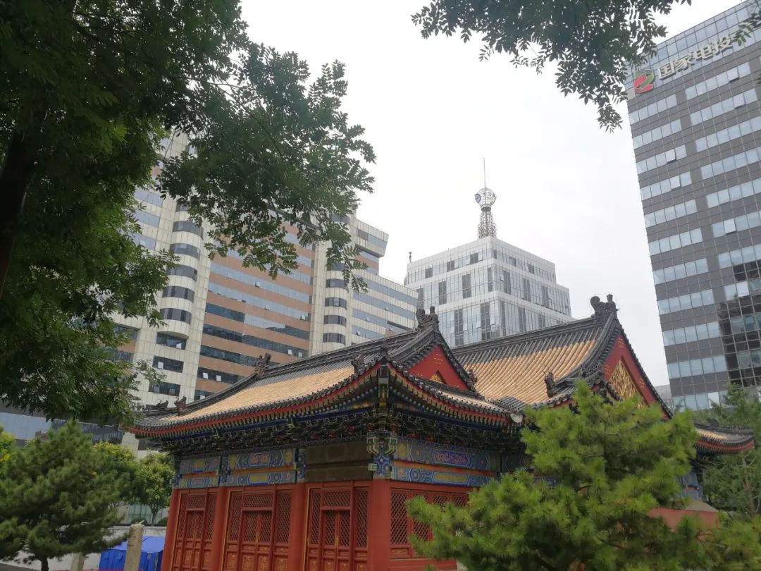 在新龙县买房,新龙城的房应该卖掉吗