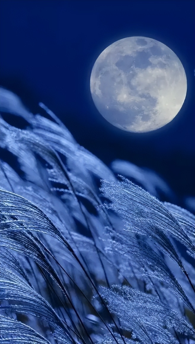 《月夜》古诗词鉴赏6篇,月夜的诗词有哪些表达了什么情感