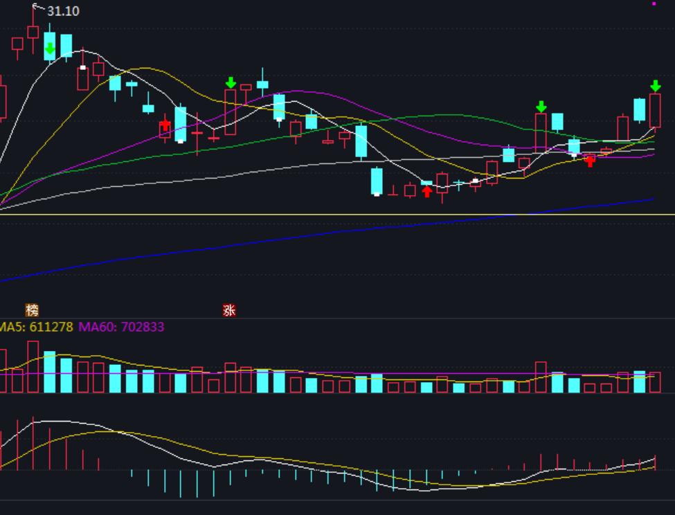 随心动含义,随心意交易软件怎么样