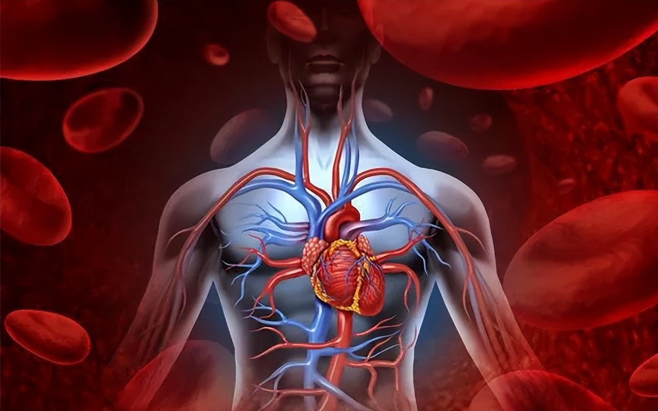 过敏性紫癜只要忌口+禁动就能好吗？