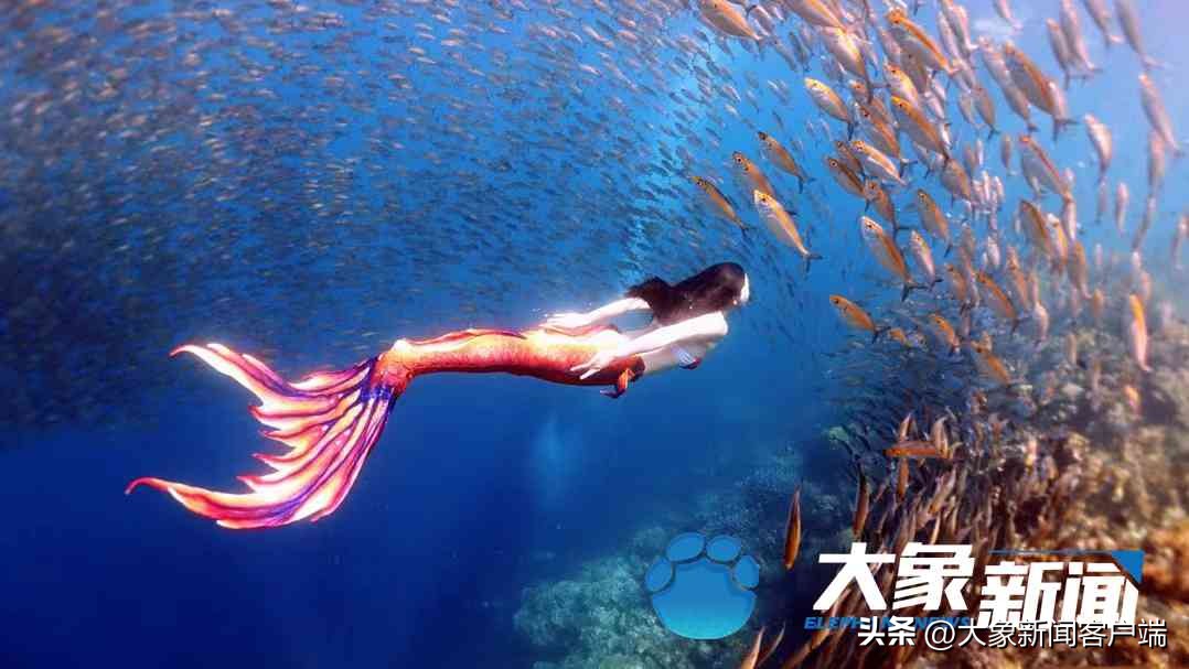 何灏浩在美人鱼中饰演谁,何灏浩的水下舞蹈