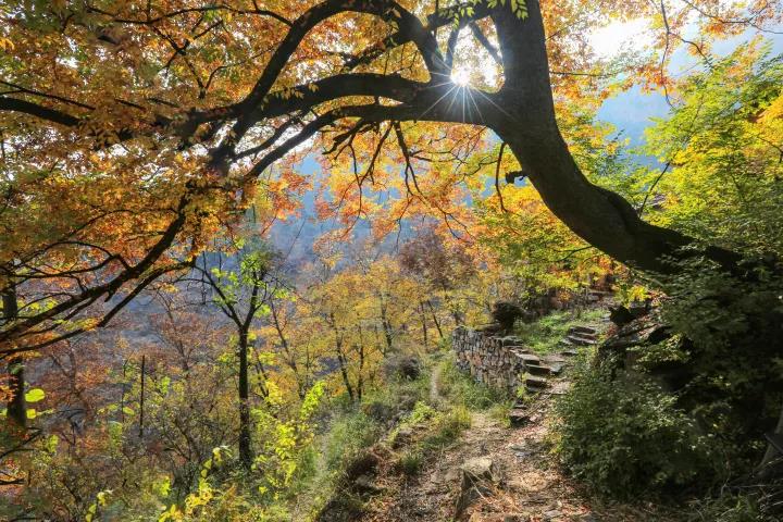 涉县羊大垴杨岐山圣水寺,涉县羊大垴海拔多少