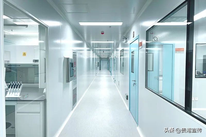 扬翔股份预披露,扬翔基因