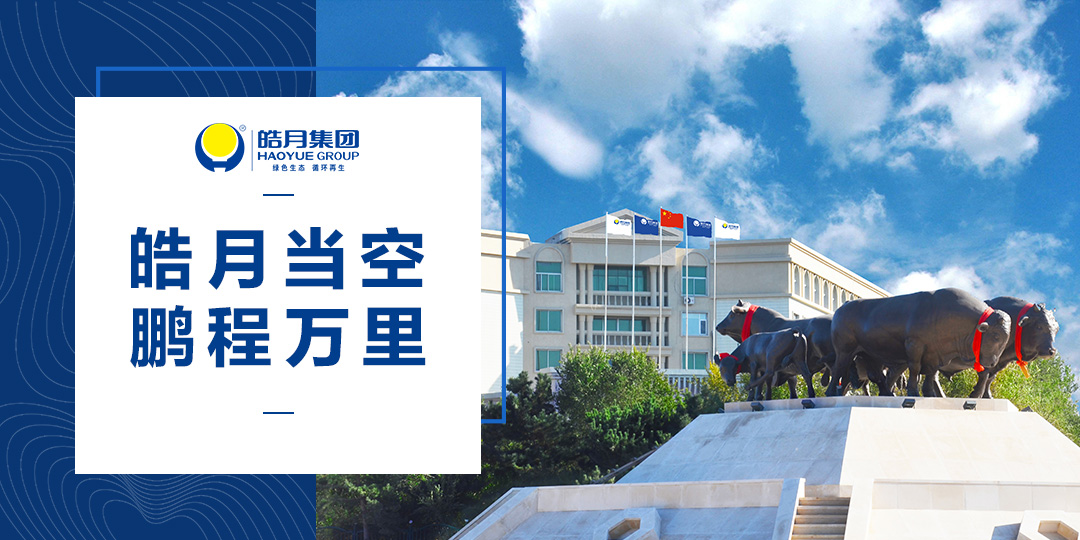 「皓月当空」皓月集团：用高品质产品守护国人饮食健康