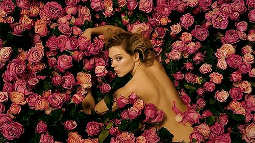 lv历年限定系列,lv这个衣服怎么样