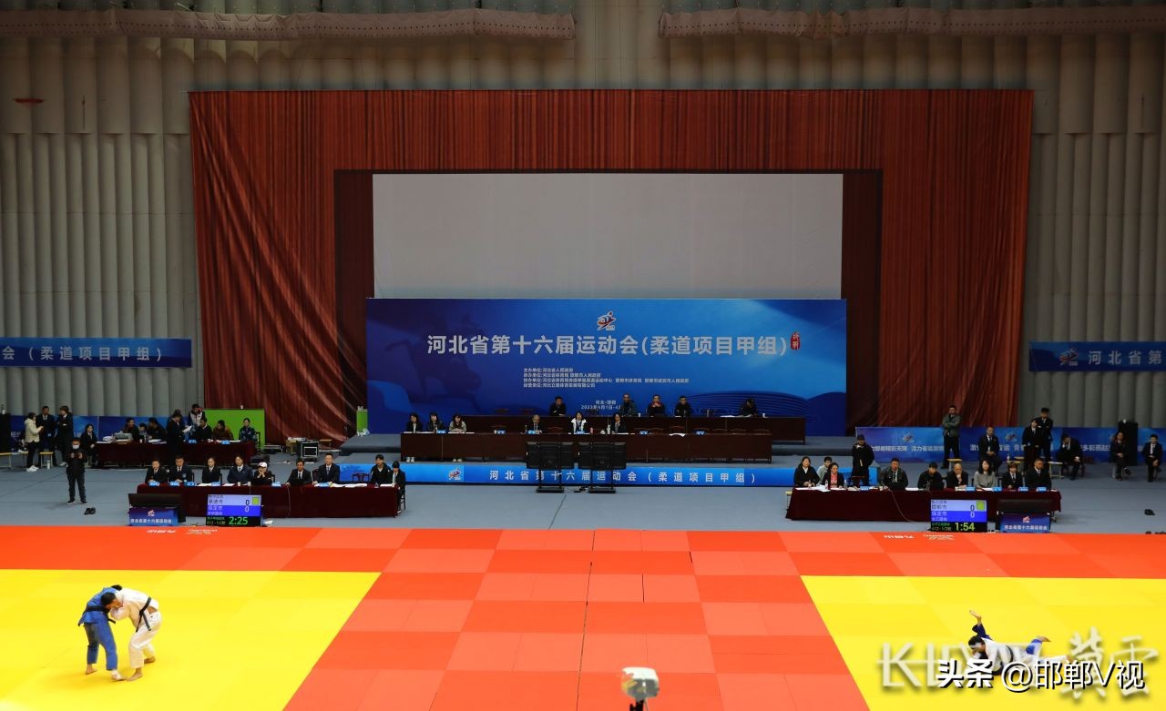 2017全国青少年柔道锦标赛,十七届省运会青少年柔道