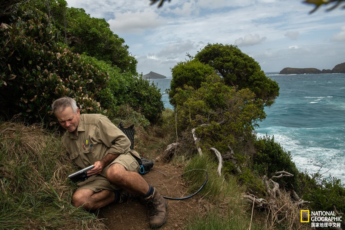 鐏紶澶ф垬榧犲矝,鐏紶澶ф垬鏆楀尯