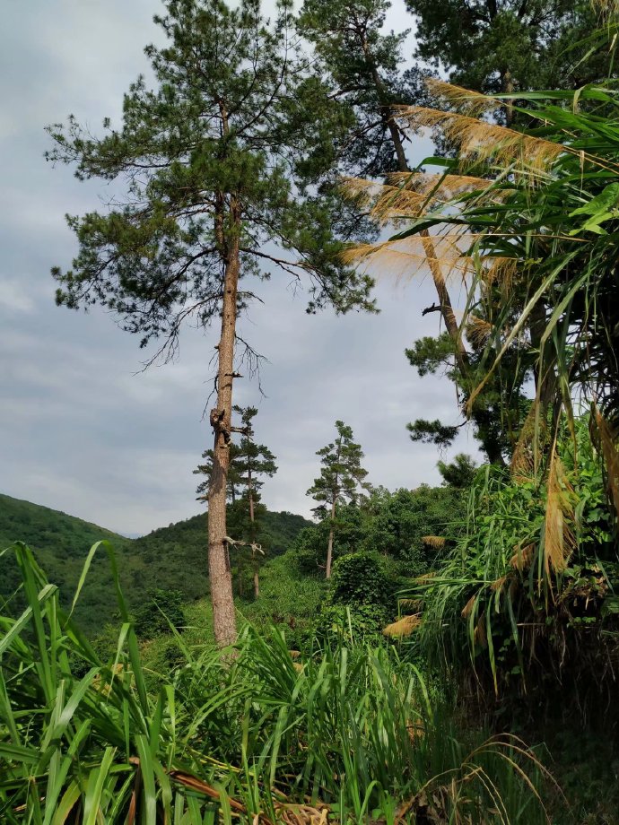 郴乐古道之水头江宜乐古道--广东省乐昌市庆云镇