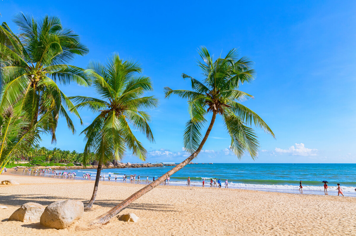 中医一通二清三补是什么方子,中医三通三补三化配方