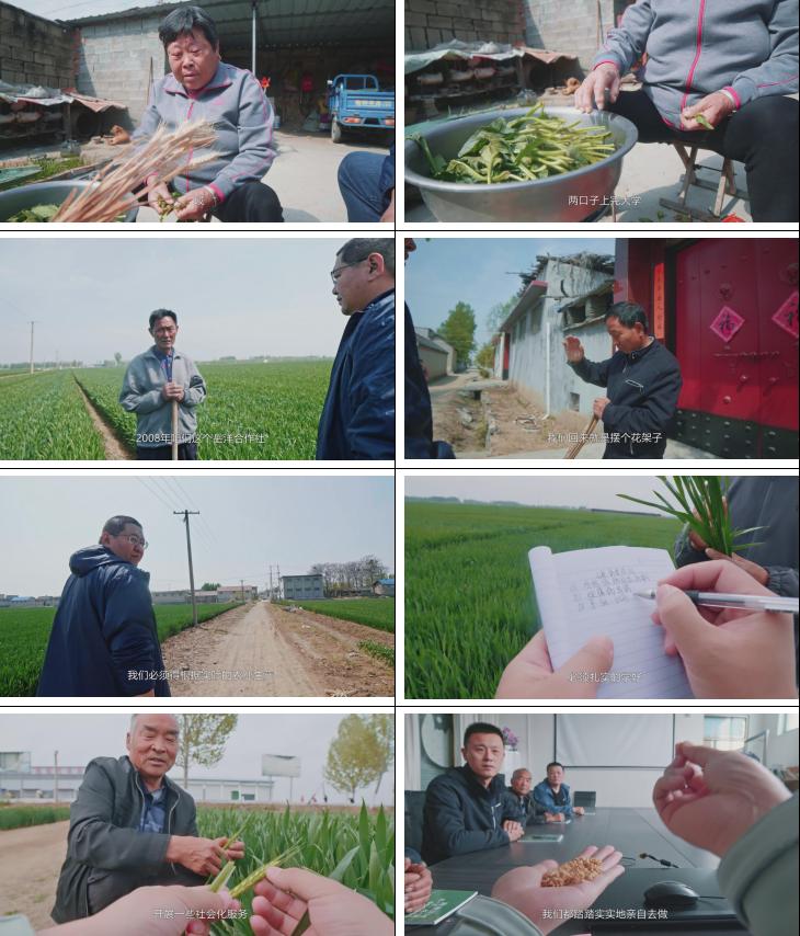 最优质的三农视频文案怎么写,三农视频热门文案素材