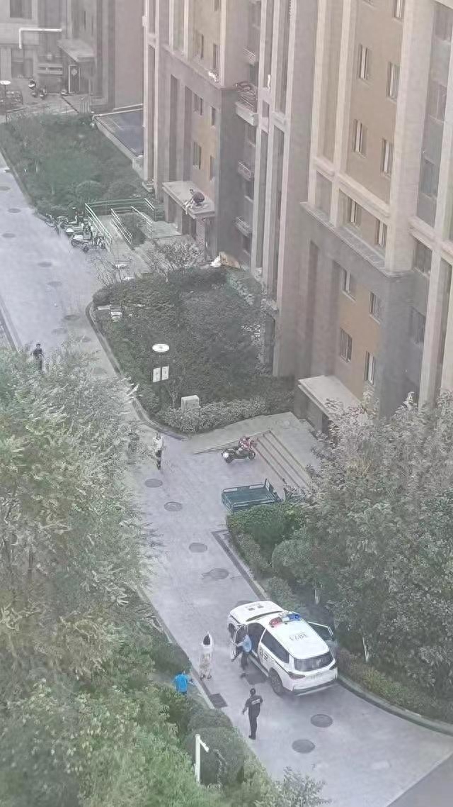 青岛母子三人坠楼男孩救活了,青岛母子3人坠楼知情人透露细节