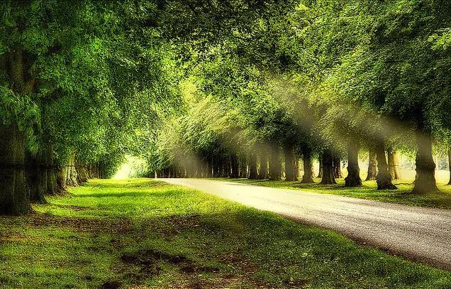 献爱心战胜病魔,为了爱战胜病魔