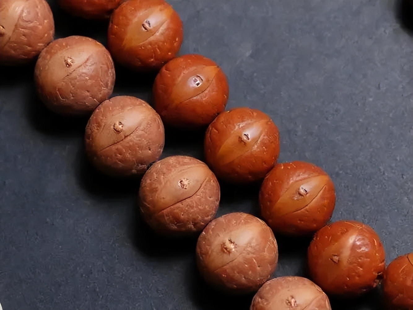 凤眼菩提的十大骗局,买凤眼菩提怎么说不会受骗