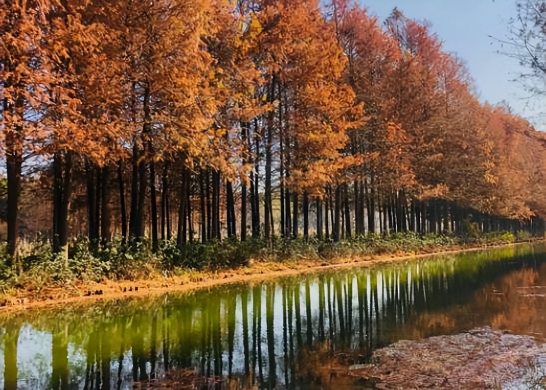 苏州最适合旅游的地方,苏州最有烟火气老街