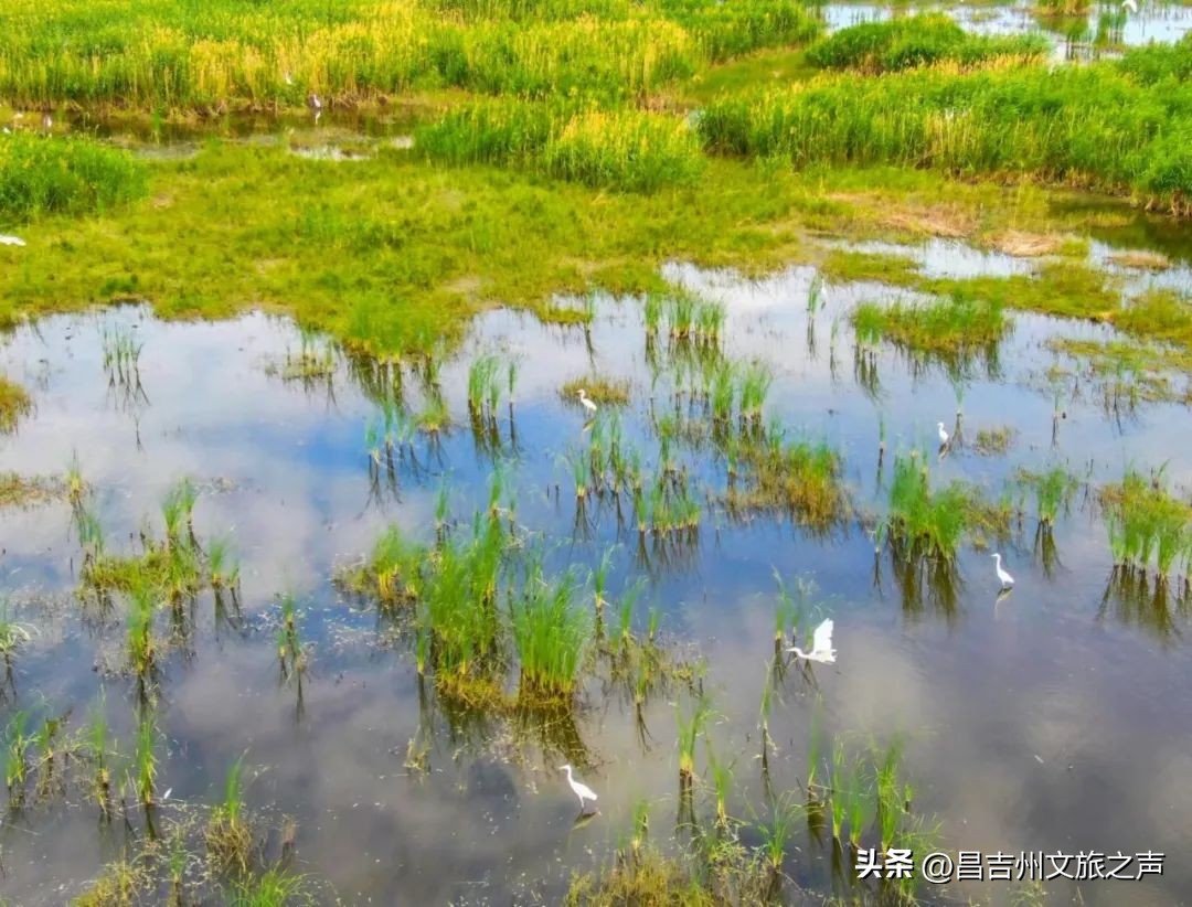 呼图壁旅游的地方,一起去村游怎么拍