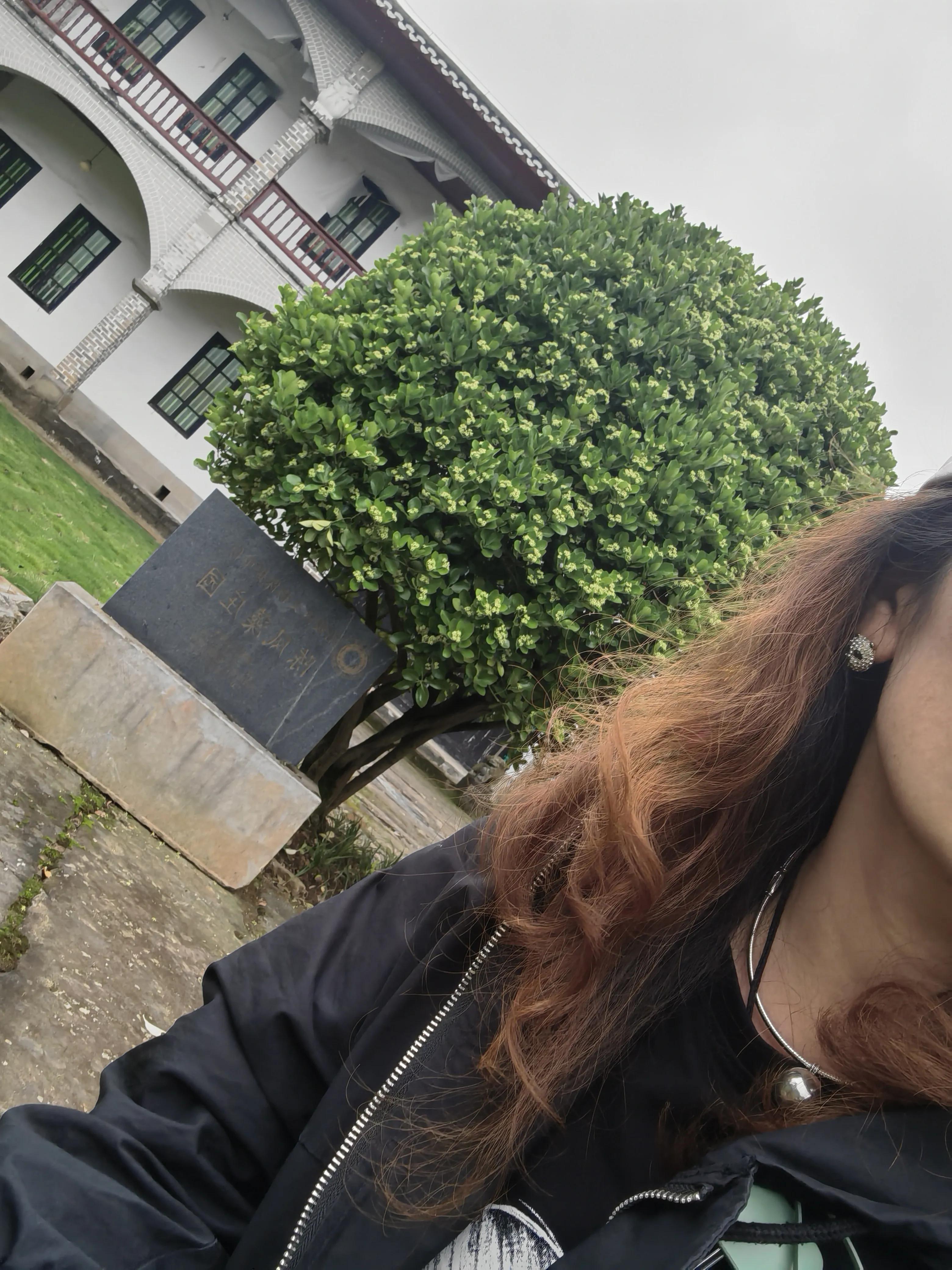 大顺李蔚如,航拍涪陵区大顺镇