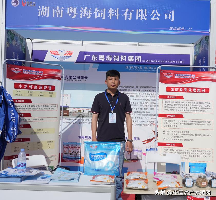 2023年南县小龙虾价格行情,南县小龙虾价格报价