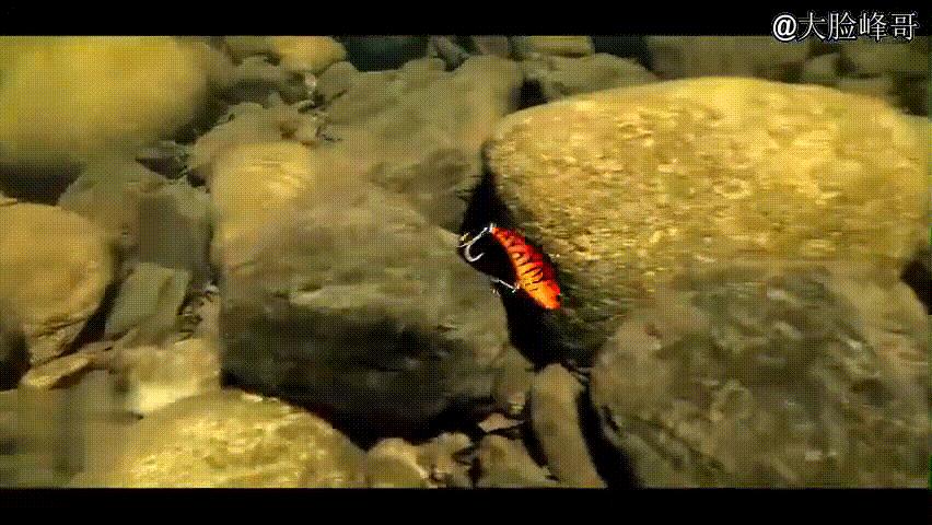 路亚小胖子假饵10g,路亚假饵亮片视频