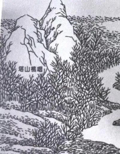 新沂和沭阳的历史,新沂以前属于沭阳吗