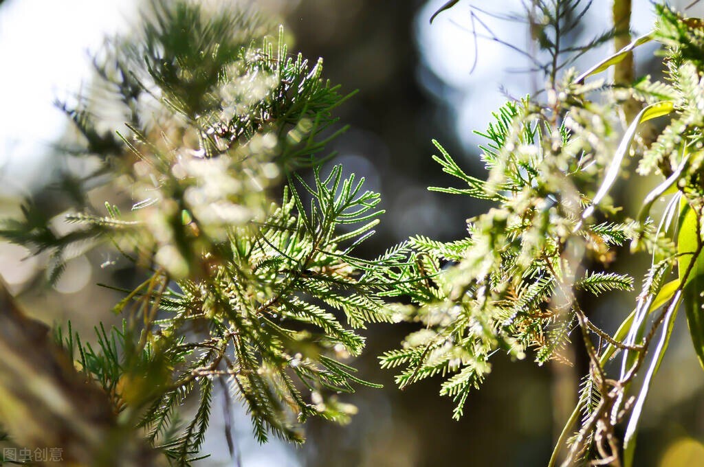 女人要管钱怎么办,女人不让男人管钱的原因
