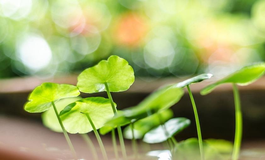 遇到小人是给予回击还是避开,君子遇到小人要变通才能不受其害